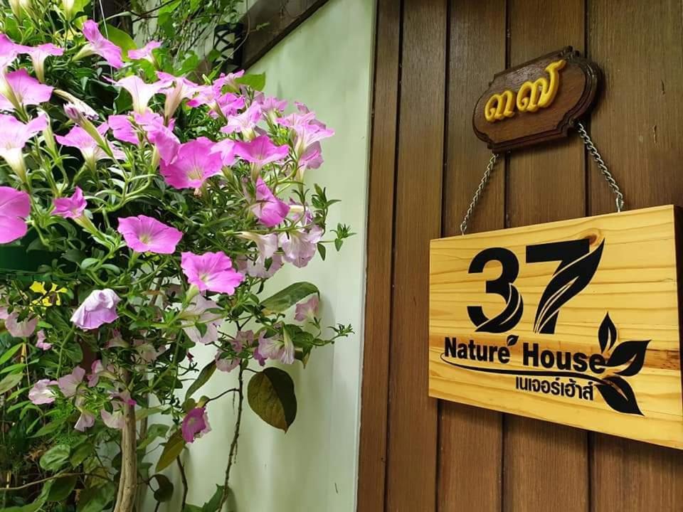 37 Nature House *