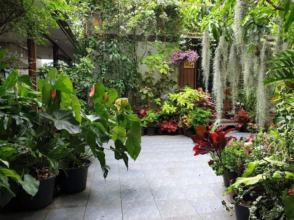 37 Nature House Privatunterkunft