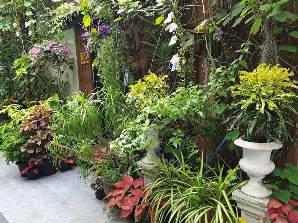 37 Nature House Privatunterkunft