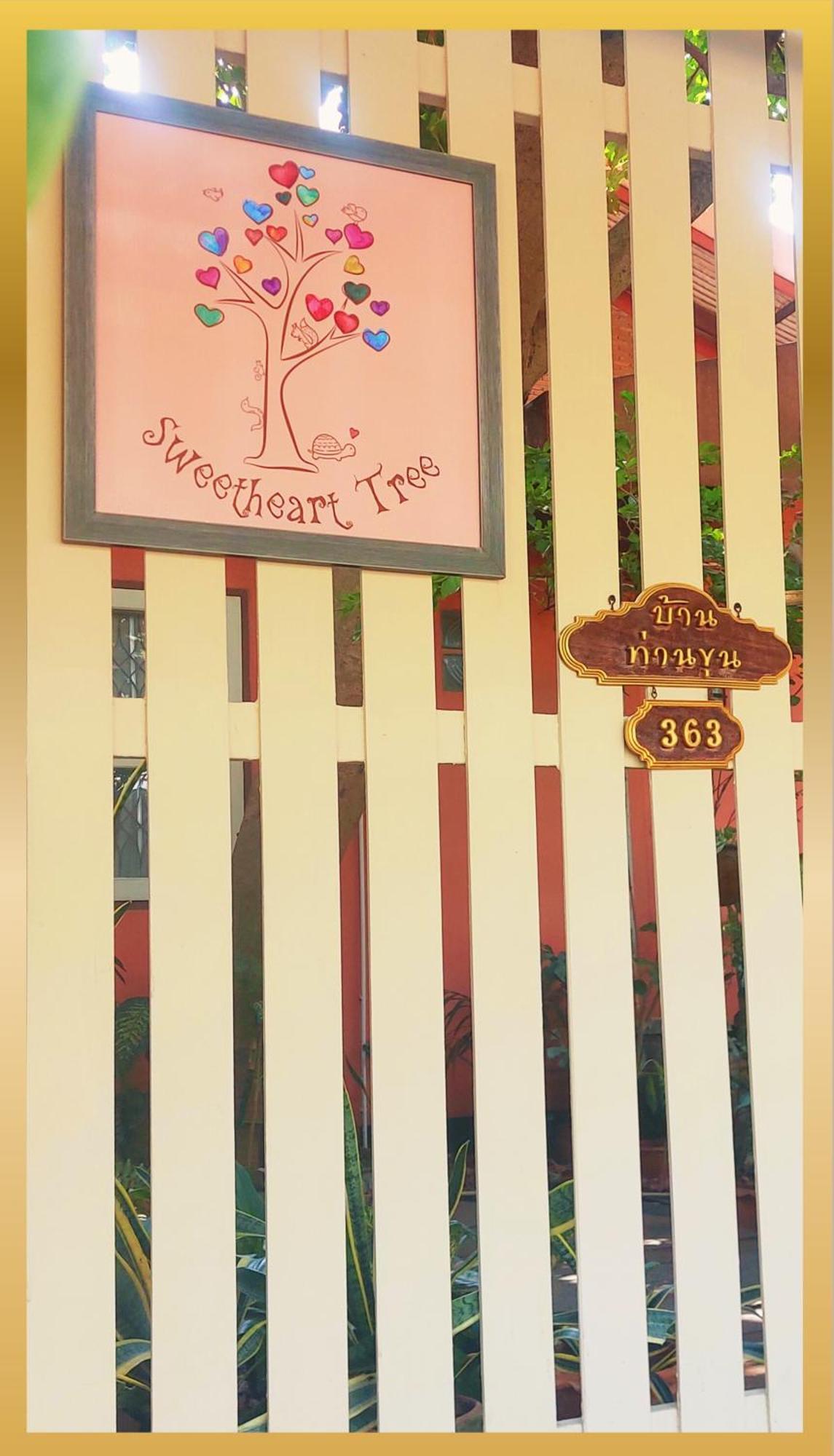 Sweetheart Tree Homestay Guest house
