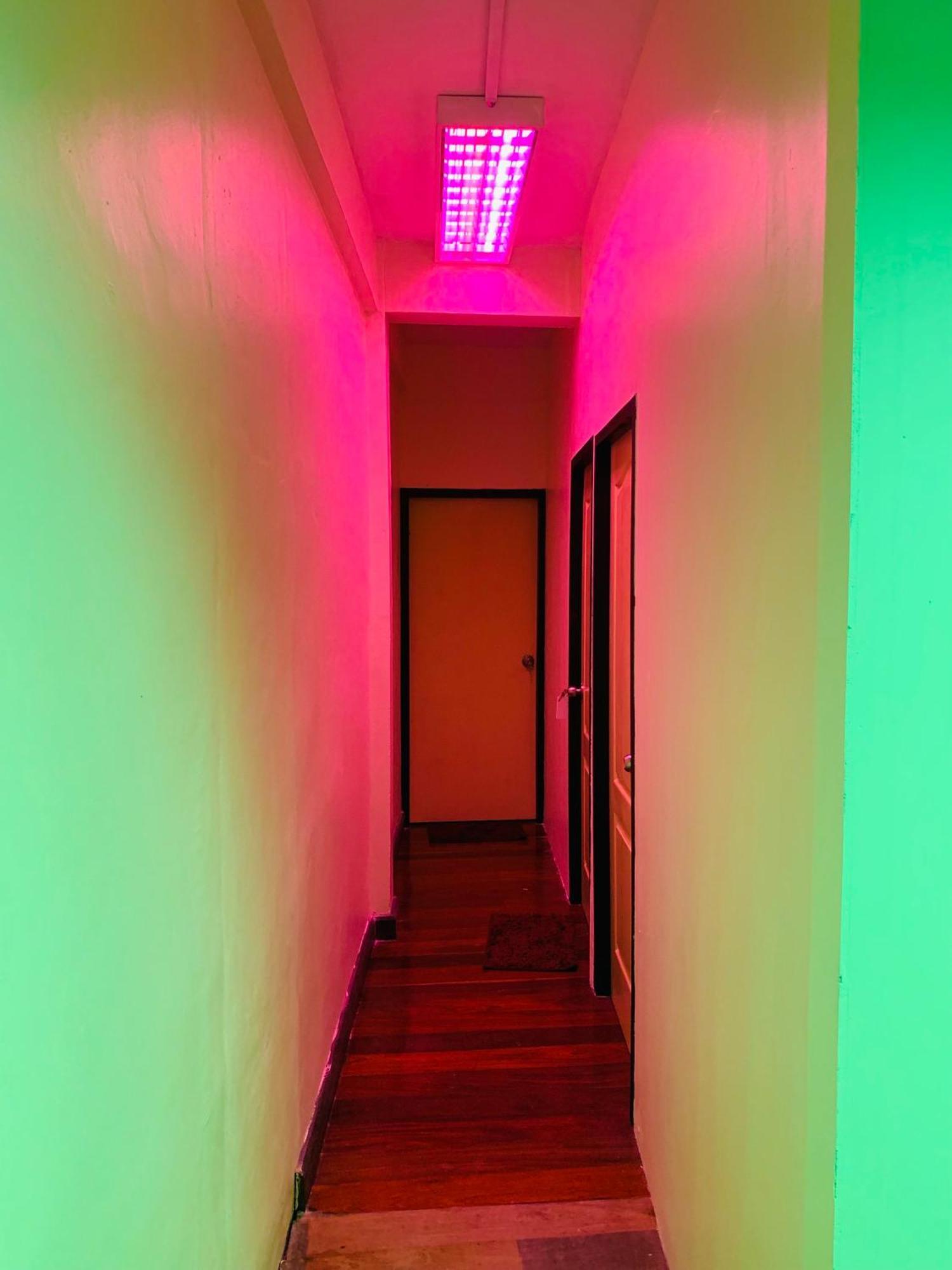 Roxx Social Hostel, Cafe & Bistro Hostal