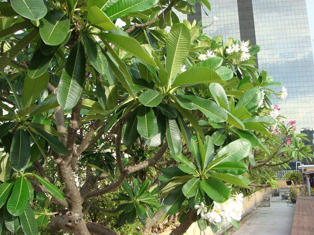 Hotell King Royal Garden