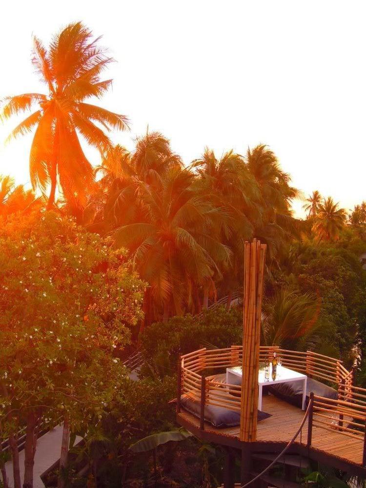 Tree House Bang Kachao Tempat peranginan