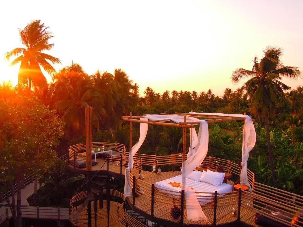 Tree House Bang Kachao Tempat peranginan 4*