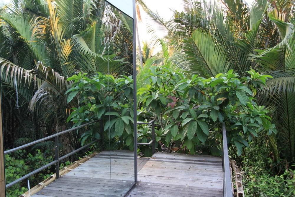 Tree House Bang Kachao Tempat peranginan