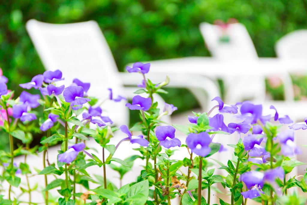 Lilac Relax-residence 3* Bangkok