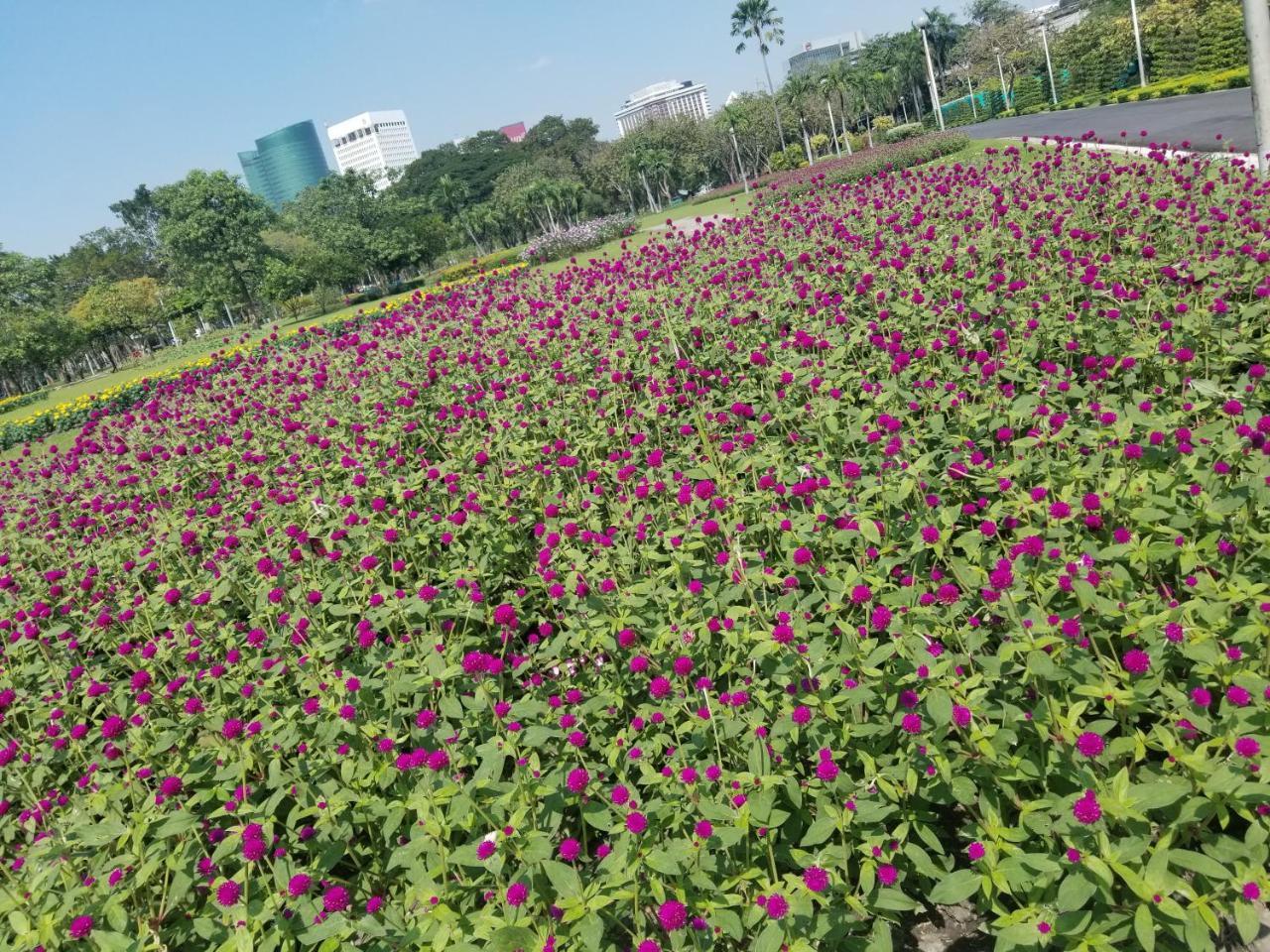 Bed To Vandrerhjem Bangkok