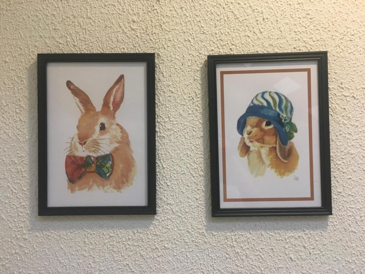 Rabbitat Albergue